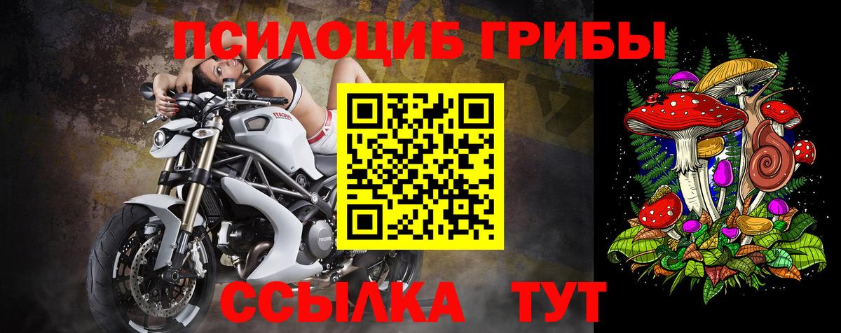 Бутурлиновка  Галлюциногенные грибы Psilocybine cubensis  Вход с VPN 